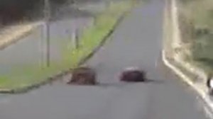 Ferrari F430 vs Mitsubishi Evolution 8