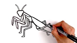 Let's Draw Bugs and Insects Together! | Drawing and Coloring with Glitter & Googly Eyes
