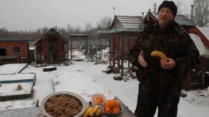 Банановая, и апельсиновая кожура  для кур несушек.