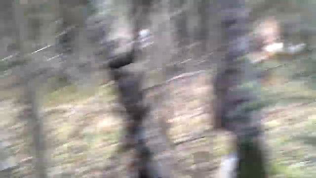 Сбор грибов в г. Сергеев Посад - Москва - Ейск 6 смотреть онлайн