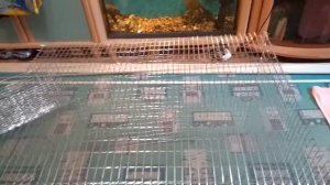 Амадины , Клетка для птиц своими руками часть 1