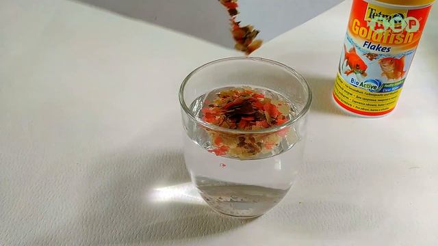 Кормлю живородящих рыбок кормом для золотых!