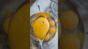 Развитие цыплёнка 2сутки - зародыш в яйце.