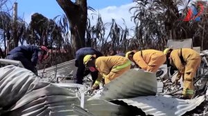 Где дети? Трагедия на Мауи. Куда пропали 2400 человек. Пожары на Гавайях