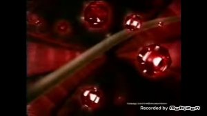 schwarzkopf poly brillance 1999 реклама