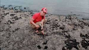 Салтымаковский паром