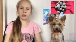 Можно ли давать сыр собаке?! || Jessica York йоркширский терьер Джесси