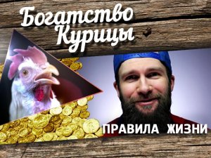 Богатство Курицы: Визажист vs. гример