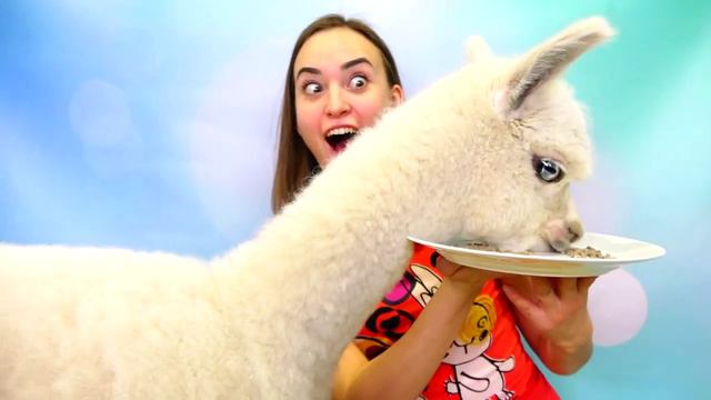 Еда против Мармелада - ОПАСНЫЙ ЧЕЛЛЕНДЖ! МАМА ПЛАЧЕТ! Real Food vs Gummy Food - EXTREME CHALLENGE! смотреть онлайн