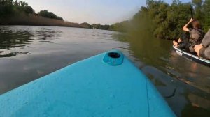 Веселые покатушки на SUP досках.