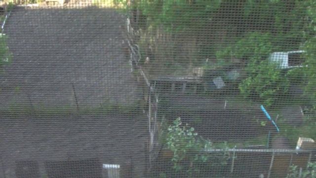 Как у Либера птицы за окном по утрам поют. смотреть онлайн