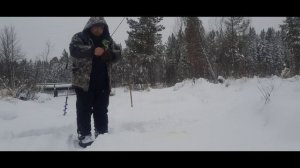 СРОЧНО!! Экстренный выпуск!!! Нахапал полосатых!!!