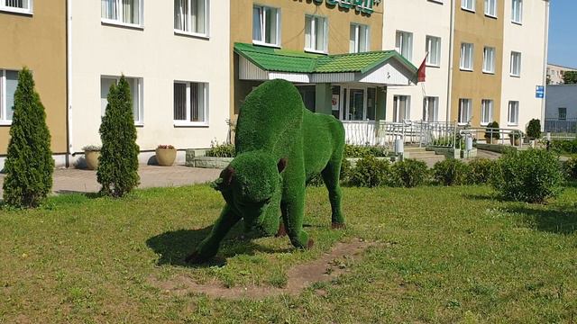 Зубр,правда не настоящий,но красивый. смотреть онлайн