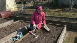 Редис: стоит ли сеять его "яичным" способом