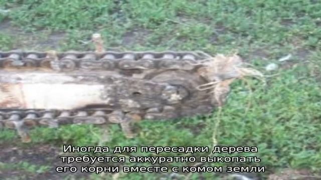 Траншеекопатель для мотоблока покупать или сделать своими руками