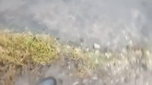 6 часть.В поисках налимьих троп