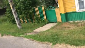 Умственно отсталые дети ходят по деревне