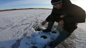 Ловля плотвы. Зимняя прикорма для плотвы.