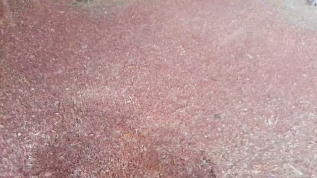 Зерносушилка Agrimec AS2700 Эко, с отключаемым теплообменником, работа системы аспирации. смотреть онлайн