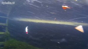 Воблер Strike Pro Slingshot Minnow. Поводная съемка. Underwater