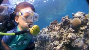 diving for kids in red sea | детский дайвинг в Красном море