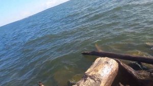 Новосибирск ГЭС ОБ