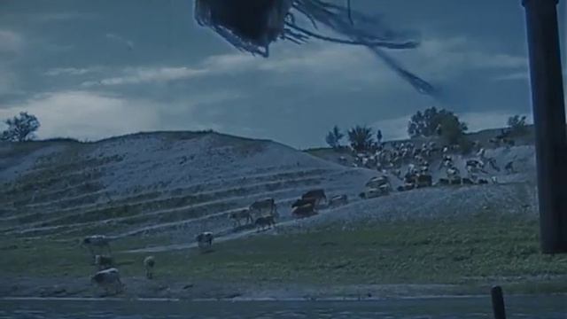 Сигарный клуб - Сплав по реке. смотреть онлайн