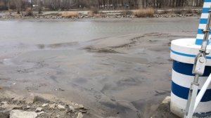 Азов. 29 марта 2015. Река Азовка