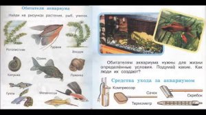 Окружающий мир 1 класс ч.1, тема урока "Мир за стеклянным берегом", с.38-39, Перспектива