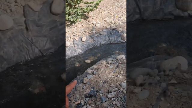 скважины ,вместе кубовой бочки более дешёвый вариант бочки от масла ))) смотреть онлайн