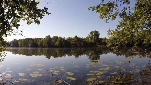 Красноперка на спиннинг р. Воронеж с. Чертовицк смотреть онлайн