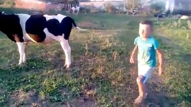 Фирдус Тямаев син жулэр,мин жулэр смотреть онлайн