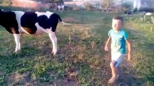 Фирдус Тямаев син жулэр,мин жулэр