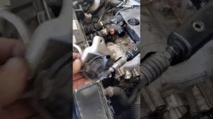 P2562-- סיטרואן ברלינגו 2016(2)