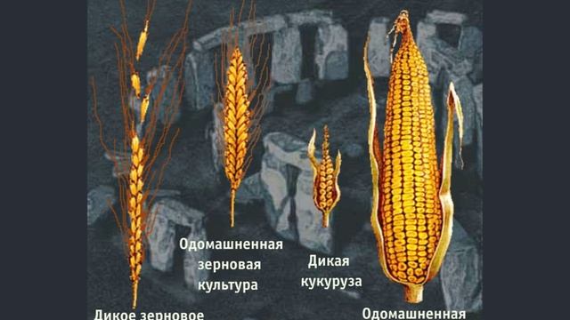 Первобытная экономика (рус.) История мировых цивилизаций