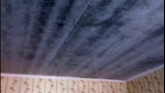 В Кимовских новостройках в потолках вода! смотреть онлайн