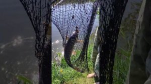 Рыбалка село Охотниково, Сакский р-он "Петькина речка"