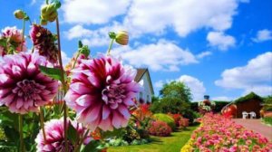 Украинские Песни Караоке