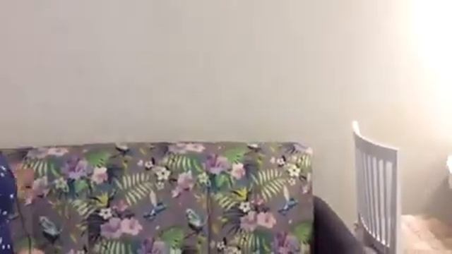 Выбор дивана на кухню.?