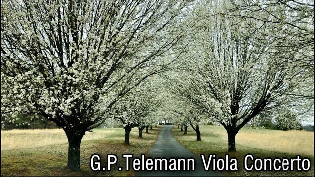 Telemann - Viola Concerto in G Major III Andante (Piano Accompaniment) (3/4) смотреть онлайн