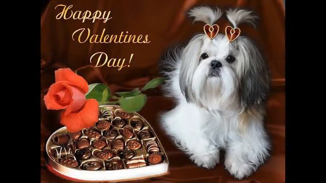 С 50 летием Валюша тебя!!! смотреть онлайн