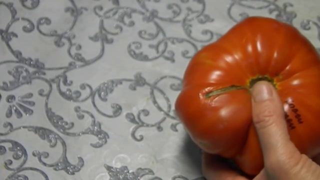 Томат Красный слон. Поближе посмотрим на созревший помидор. смотреть онлайн