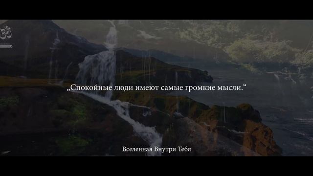 Стивен Хокинг - Смысл умных людей в том, что они кажутся сумасшедшими глупыми людьми