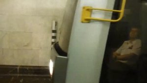 Поезд метро "Яуза"