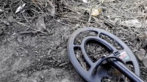 Коп в лесу и приятные находки с Garrett ACE 250