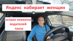 Яндекс набирает женщин  для работы в такси (ослиная философия)