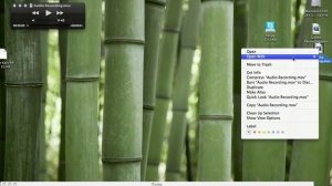 How to Record Your Screen/Audio/Video on Mac for Free (no download)