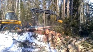 ✔️ Лесозаготовка.