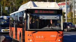 Все автобусы города Нижний Новгород часть 1 #автобус