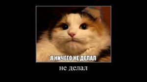 Как получить тг премиум